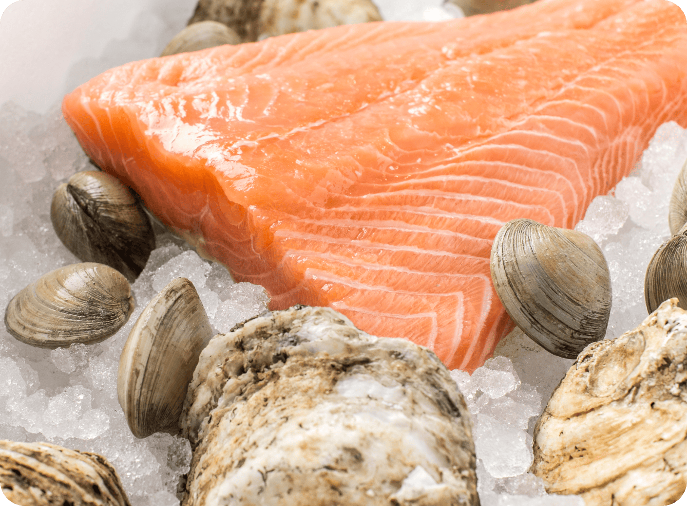Premium Seafood & Specialty Delights