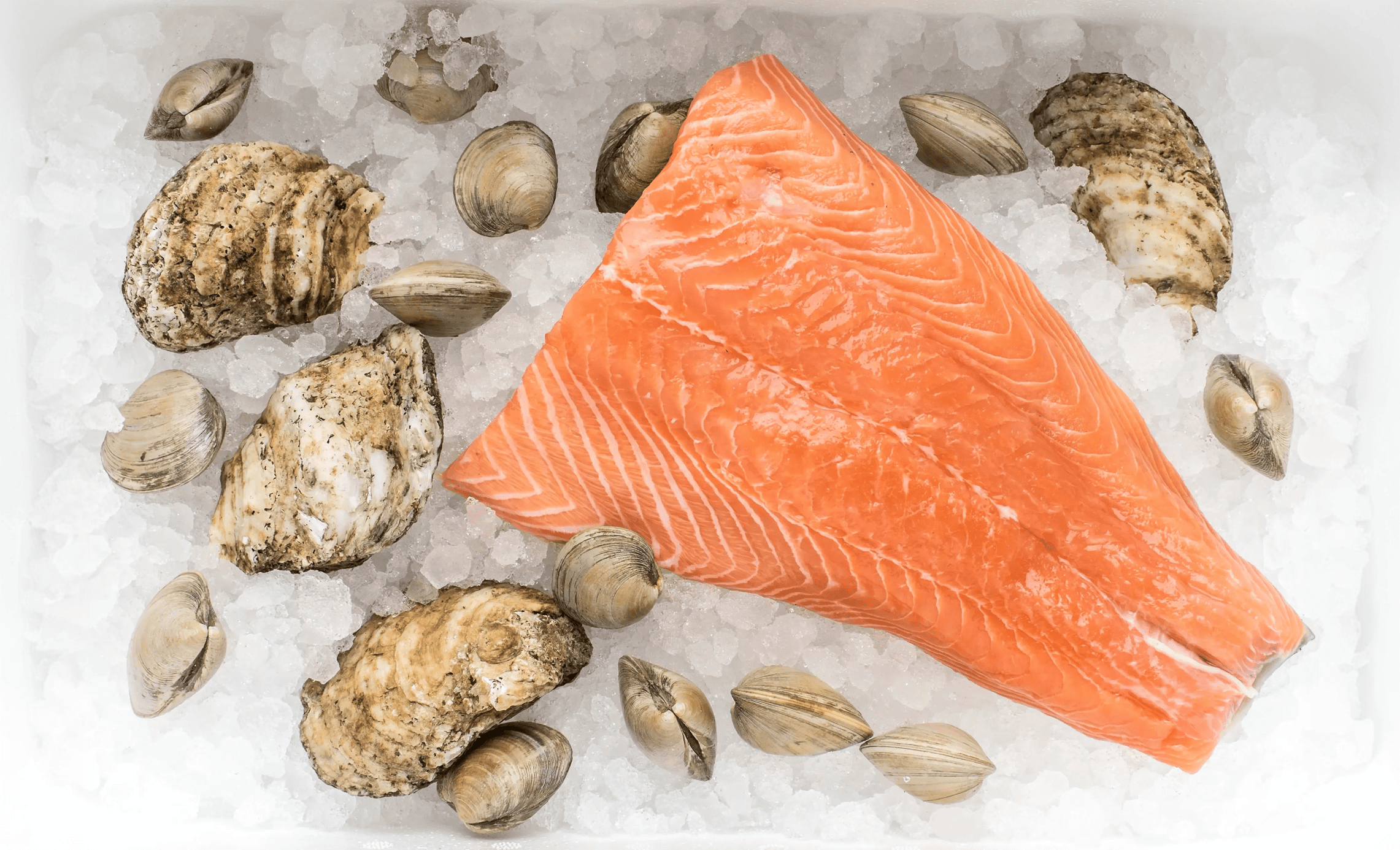 The freshest fish around