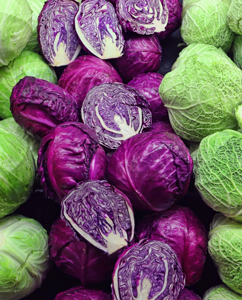 2_cabbage