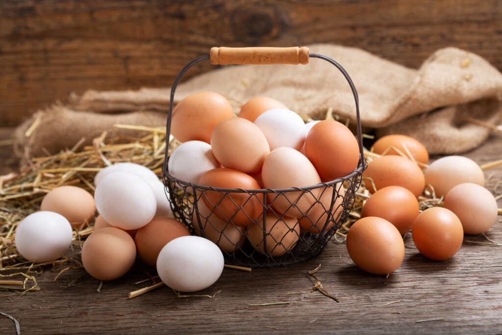 fresh eggs
