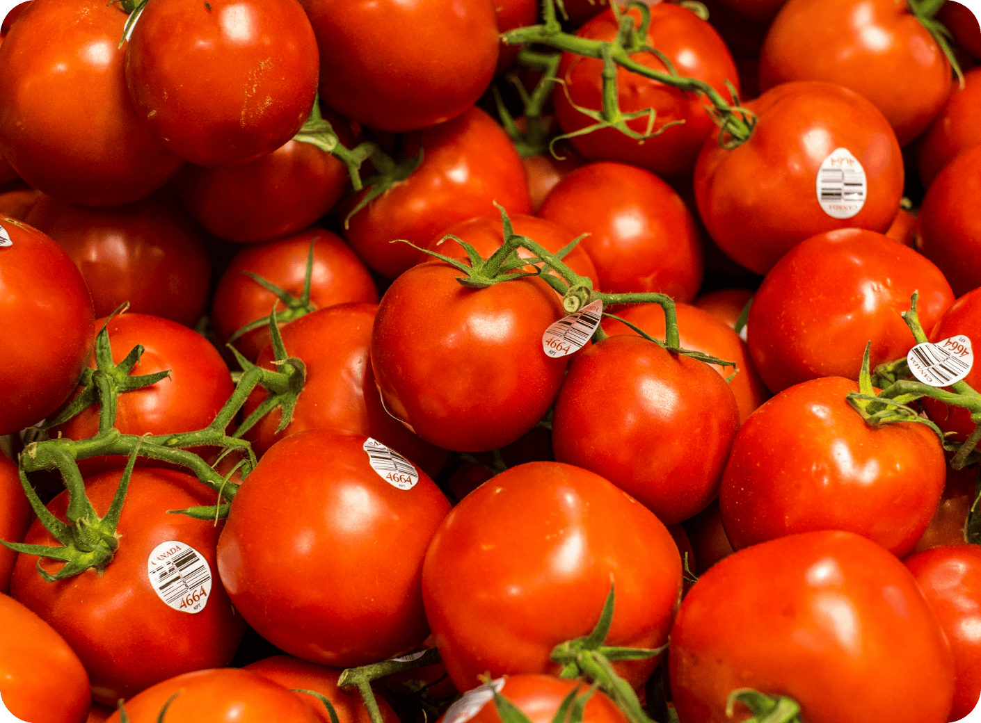Fresh Produce, Always the Best