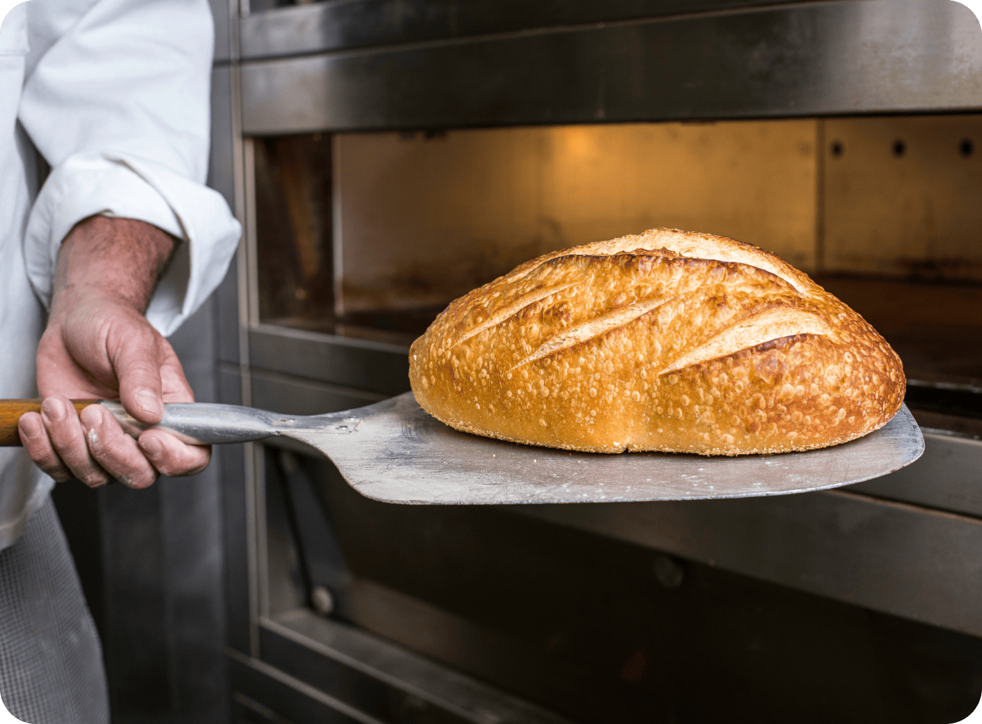 Freshly Baked, Made from Scratch