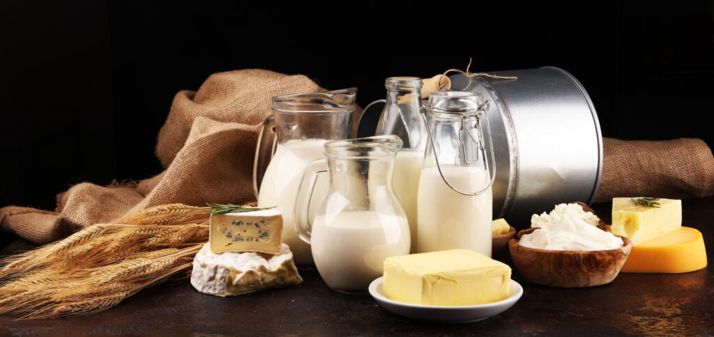 Premium Dairy Products