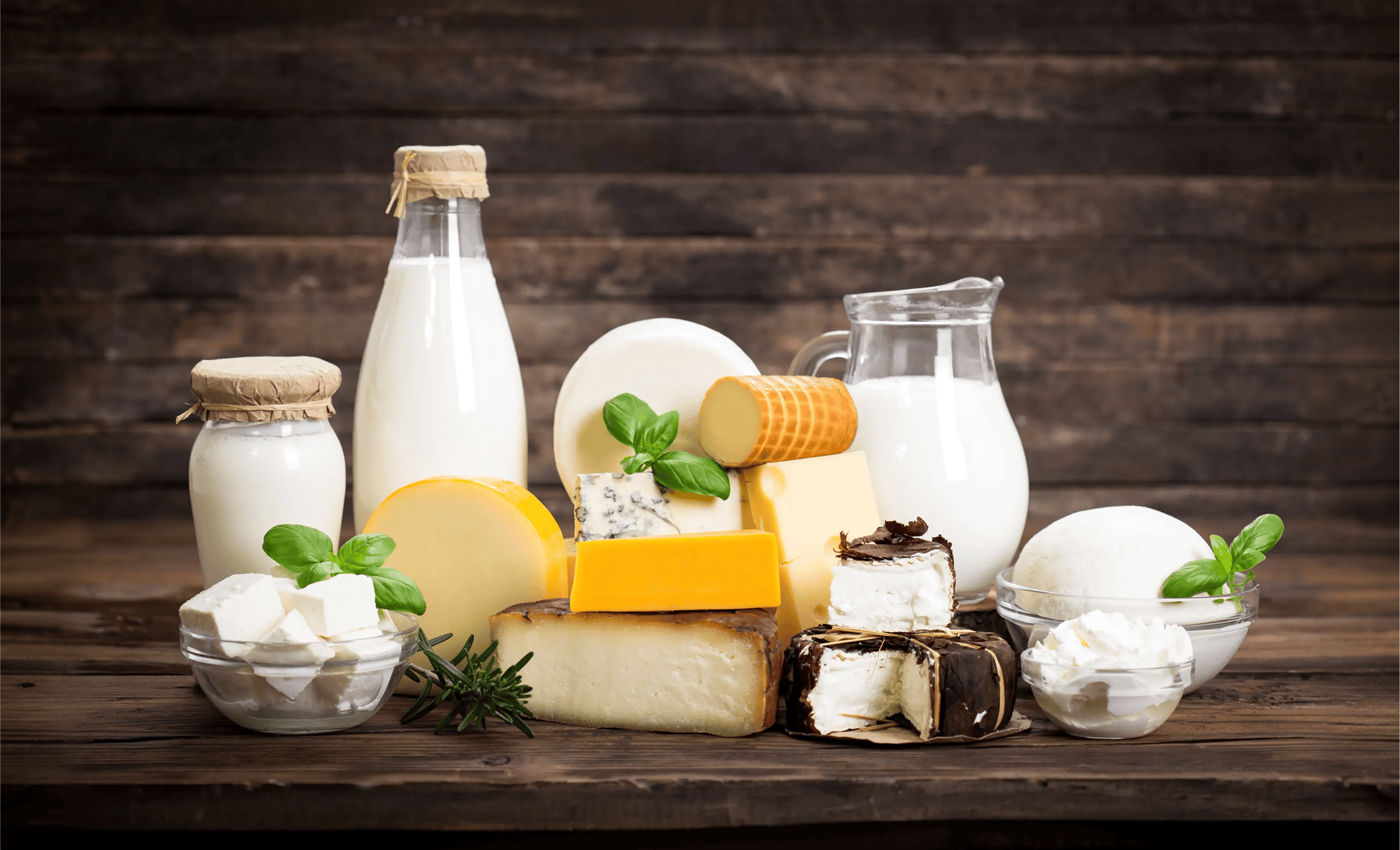 Premium Dairy for Every Taste
