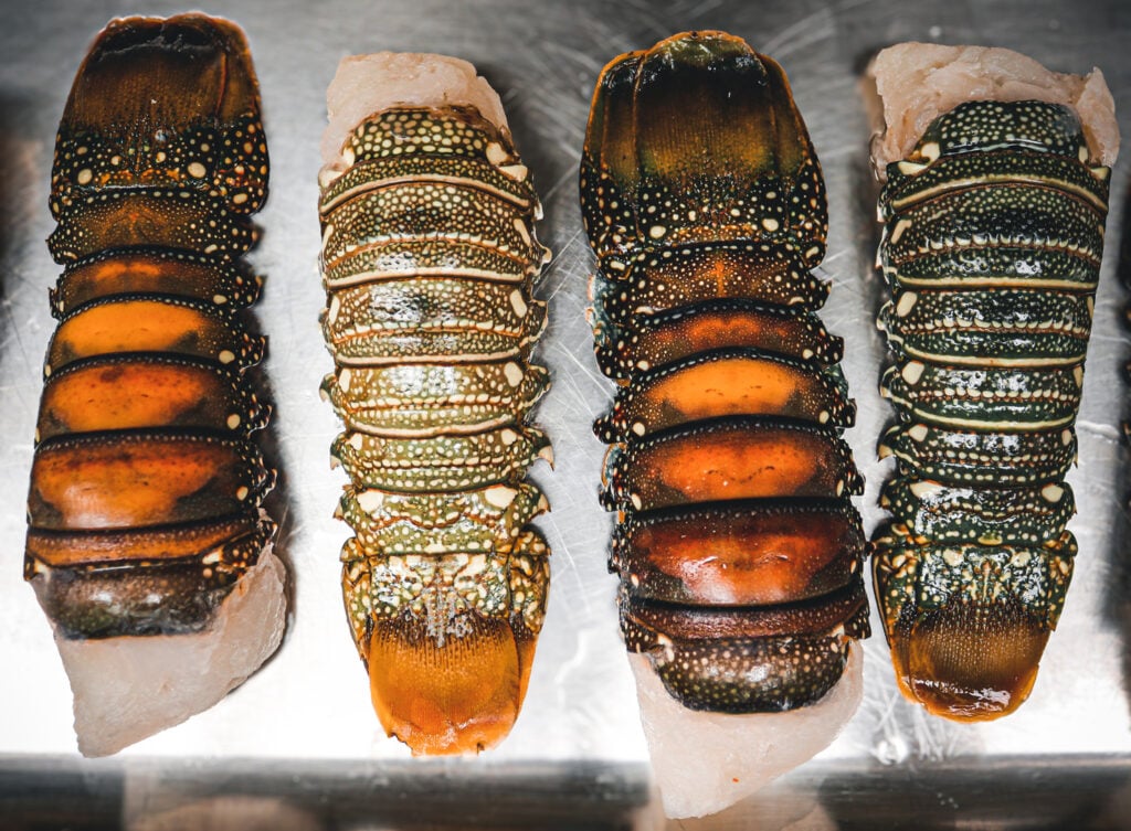 raw lobster tail-1