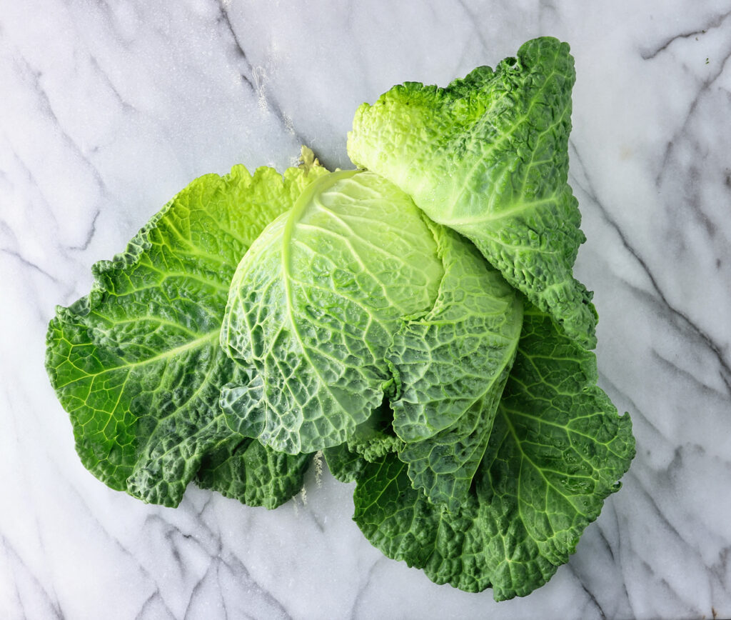 savoy_cabbage